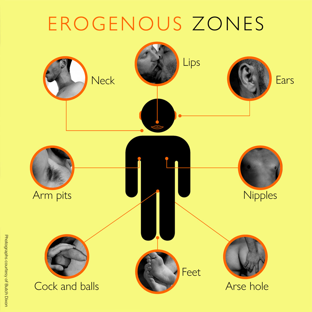 Erogenous zones.