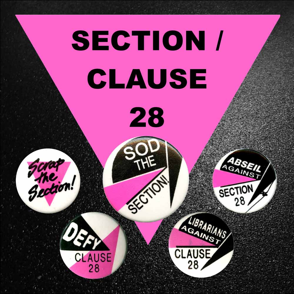 section 28 introduction